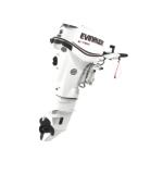 Мотор лодочный Evinrude E 25 DTE