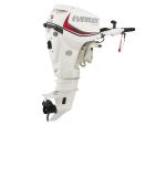 Мотор лодочный Evinrude E 25 DTL
