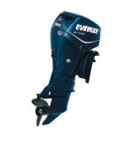 Мотор лодочный Evinrude E 50 DTL