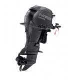 Мотор лодочный Evinrude E 55 MRL