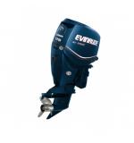 Мотор лодочный Evinrude E 175 DPL