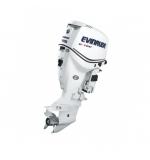 Мотор лодочный Evinrude E 175 ...