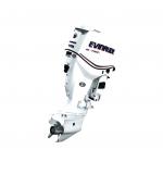 Мотор лодочный Evinrude E 175 DCX