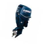 Мотор лодочный Evinrude E 200 ...