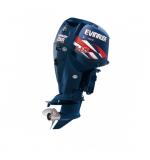 Мотор лодочный Evinrude E 250 DPX