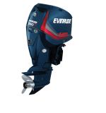 Мотор лодочный Evinrude E 250 PX ICON