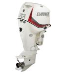 Мотор лодочный Evinrude E 250 CZ ICON