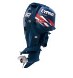 Мотор лодочный Evinrude E 250 DHX