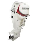 Мотор лодочный Evinrude E 300 CX ICON